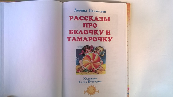 Рассказы о белочке и тамарочке читательский дневник. Рассказы про белочку и Тамарочку книга. Про белочку и Тамарочку рисунок читательский дневник.