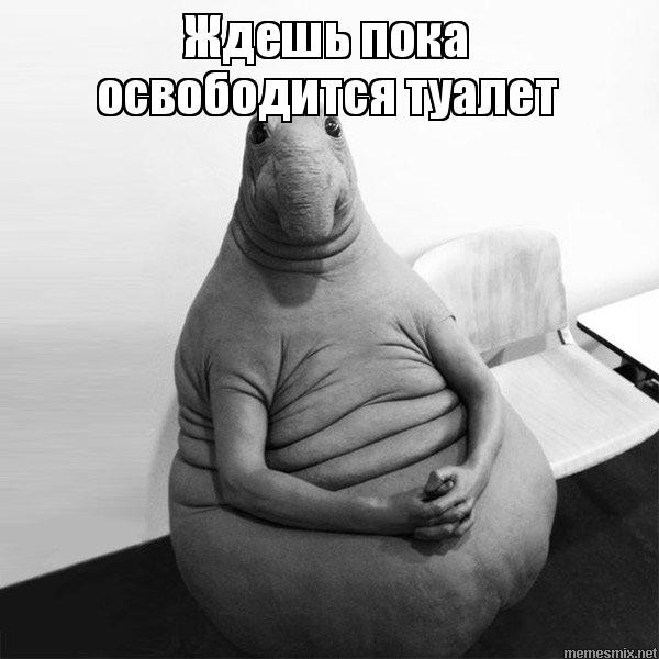 Этот раздел пока пусть онлайн